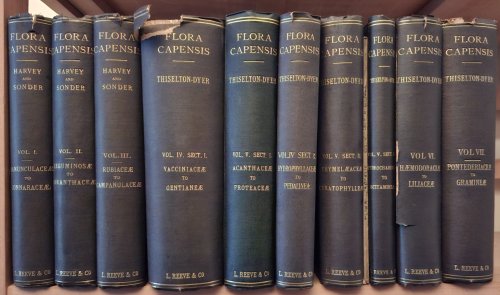 Flora Capensis : being a systematic description of the plants of the Cape Colony, Caffraria and Port Natal., Volumes 1 - 7 complete