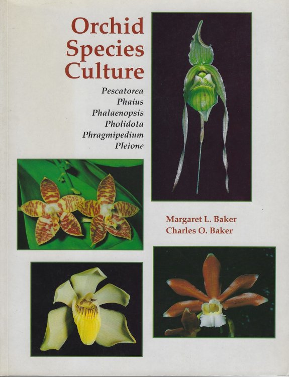 Orchid Species Culture - Pescatorea, Phaius, Phalaenopsis, Pholidota, Phragmipedium, Pleione