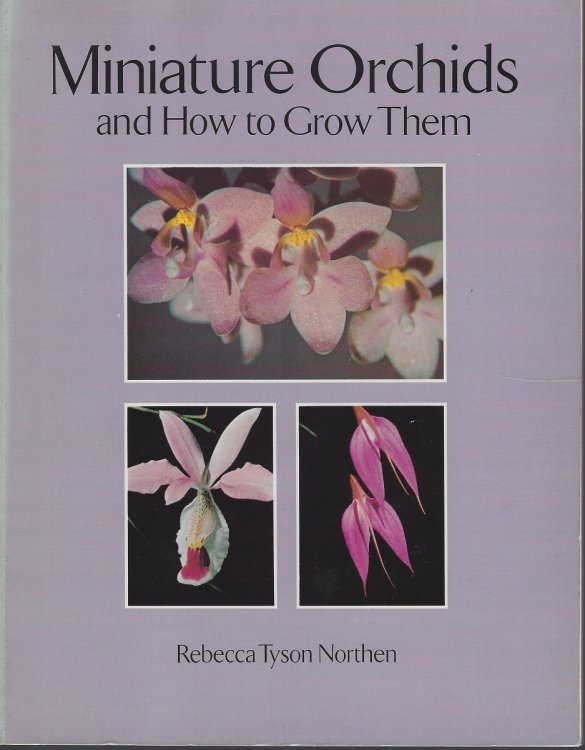 Miniature Orchids and How to Grow Them
