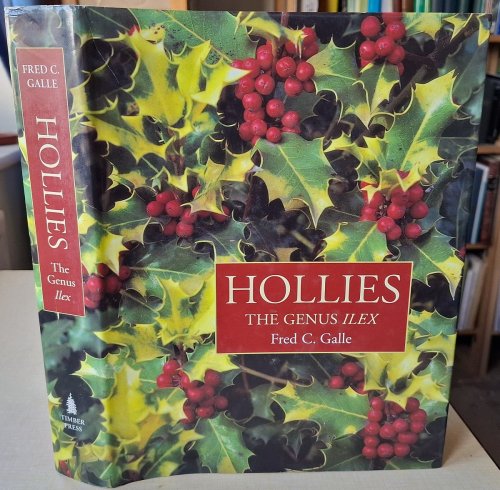 Hollies - the genus Ilex