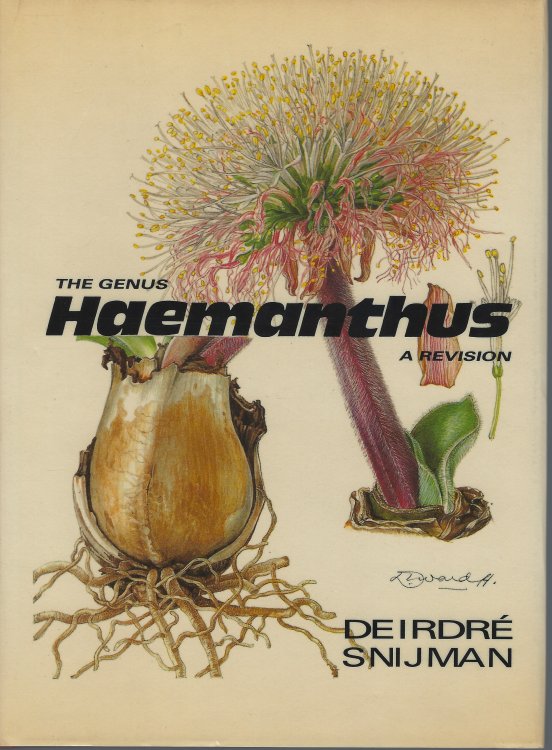 A Revision of theGenus Haemanthus L. (Amaryllidaceae)