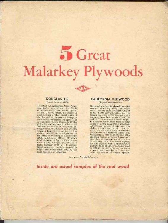 5 Great Malarkey Plywoods (Sample sheet with five wood samples affixed)