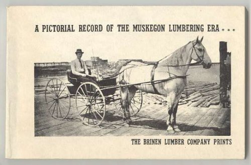 A PICTORIAL RECORD OF THE MUSKEGON LUMBERING ERA . THE BRINEN LUMBER COMPANY PRINTS