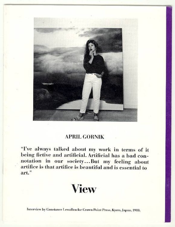 [APRIL GORNIK] View, Vol. V, No. 6, Fall 1988