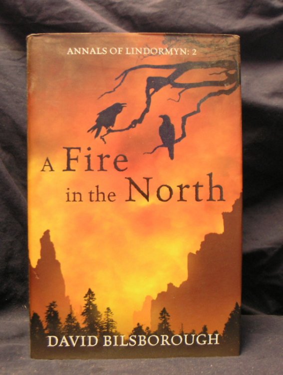A Fire in the North