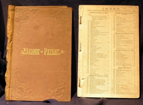 Briggs Patent