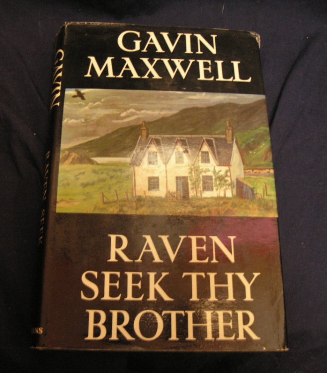 Raven Seek Thy Brother