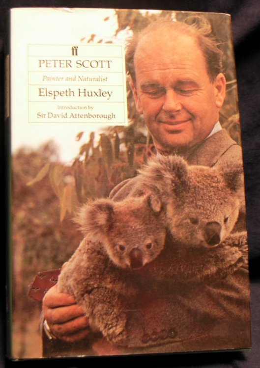 Peter Scott: Painter and Naturalist
