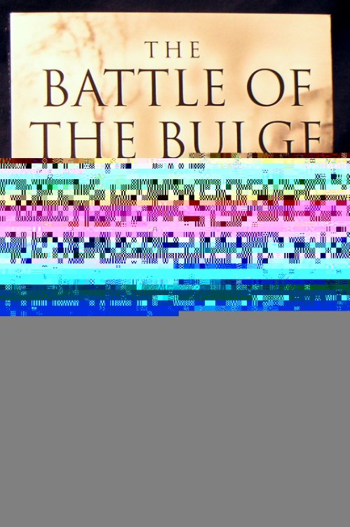 The Battle of the Bulge: Hitler's Final Gamble