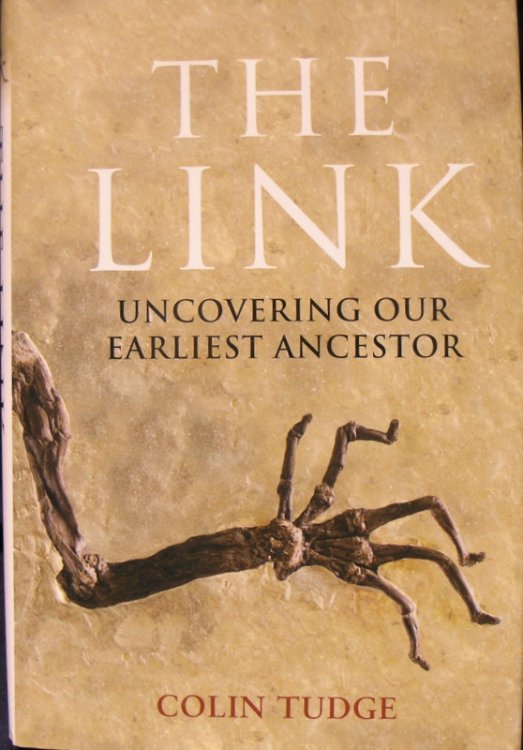 The Link: Uncovering Our Earliest Ancestor