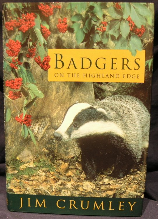 Badgers on the Highland Edge