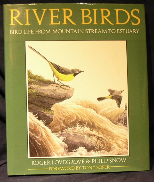 River Birds: Bird Life from Mountain Stream to Estuary