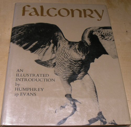Falconry
