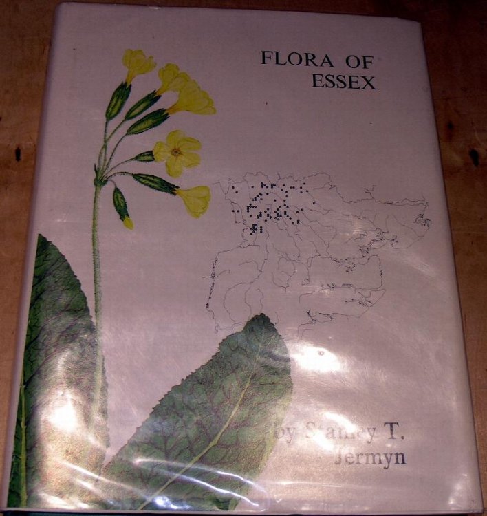 Flora of Essex