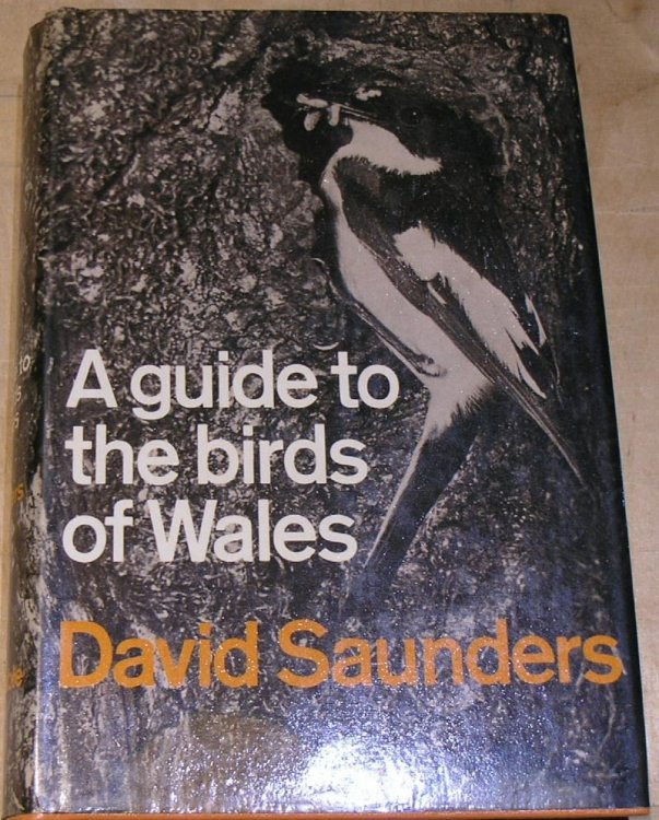 A Guide to the Birds of Wales