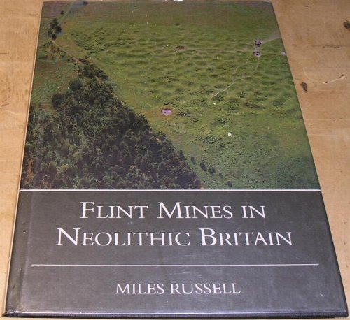 Flint Mines in Neolthic Britain
