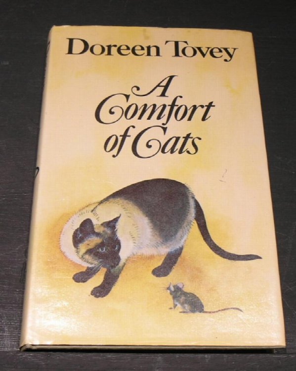 A Comfort of Cats.