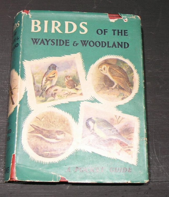 Birds of the Wayside & Woodlands. A pocket guide.