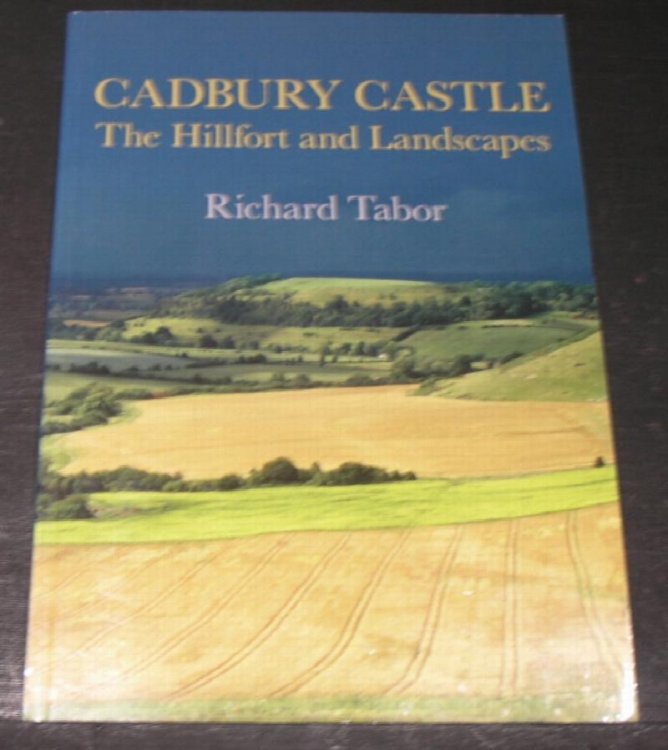 Cadbury Castle; The Hillfort and Landscapes.