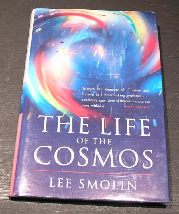 The Life of the Cosmos