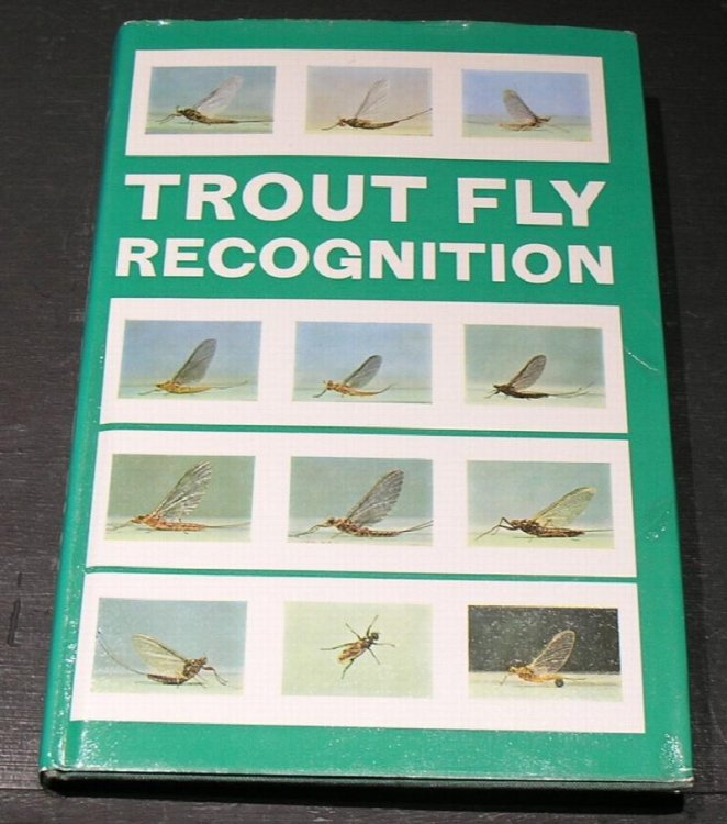 Trout Fly Recognition