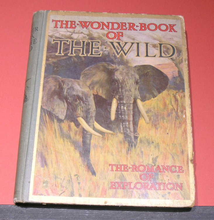 The Wonder-Book of the Wild - The Romance of Exploration and Big Game Stalking