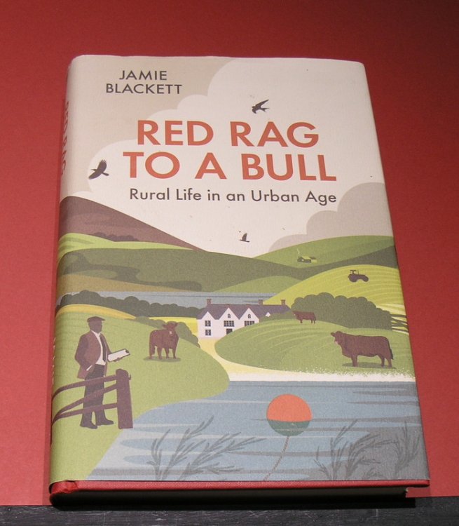 Red Rag to a Bull - Rural Life in an Urban Age