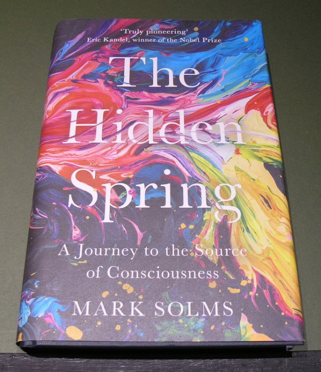 The Hidden Spring: The Journey to the Source of Consciousness