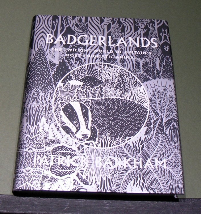 Baderlands ; The twilight world of Britain's most enigmatic animal
