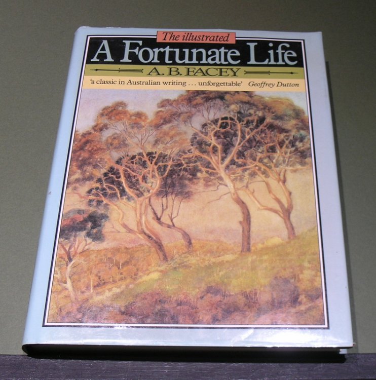 The Illustrated A Fortunate Life
