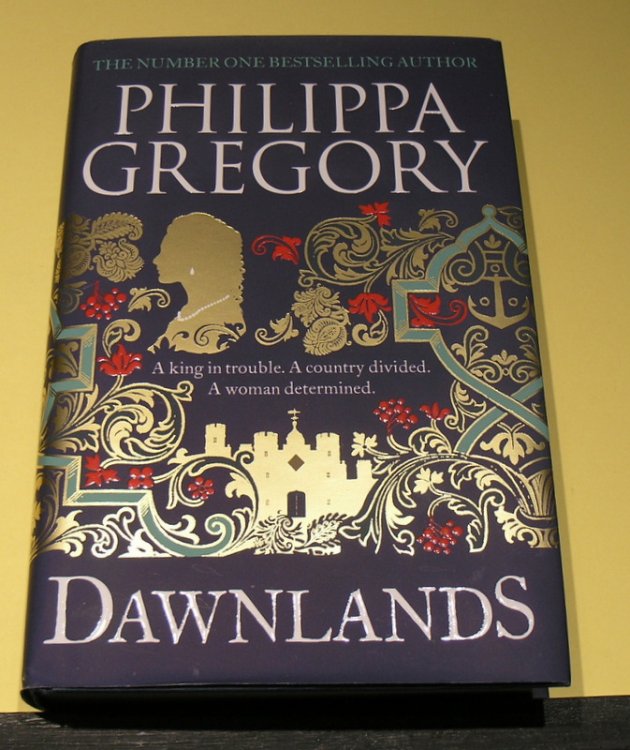 DawnLands: A King in trouble. A country divided. A woman determined.