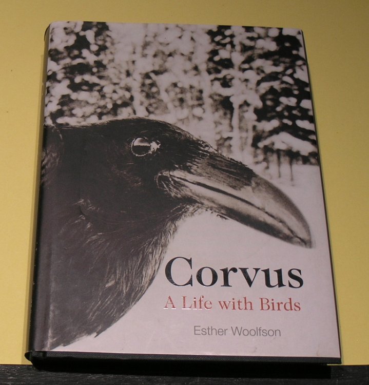 Corvus- A Life with Birds