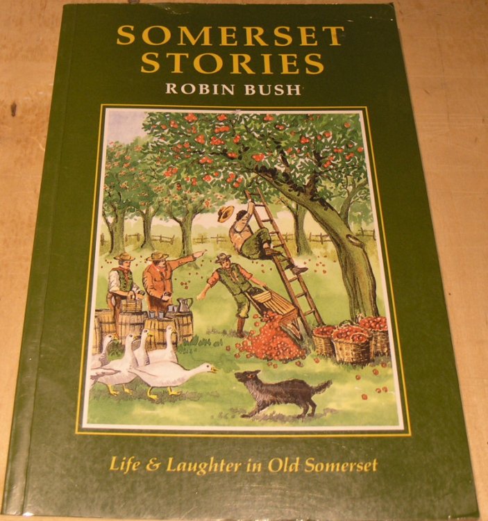Somerset Stories: Life and Laughter in Old Somerset
