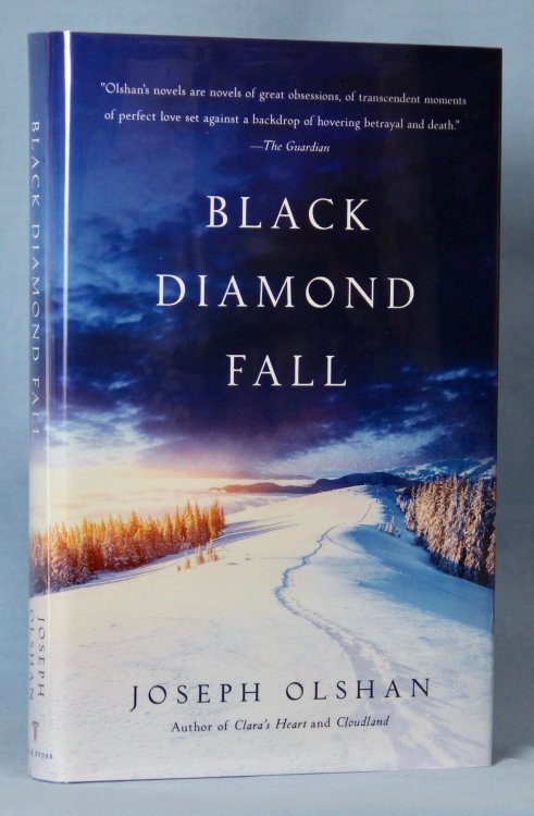 Black Diamond Fall (Signed)