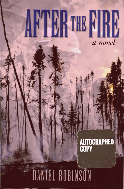 After the Fire: A Novel