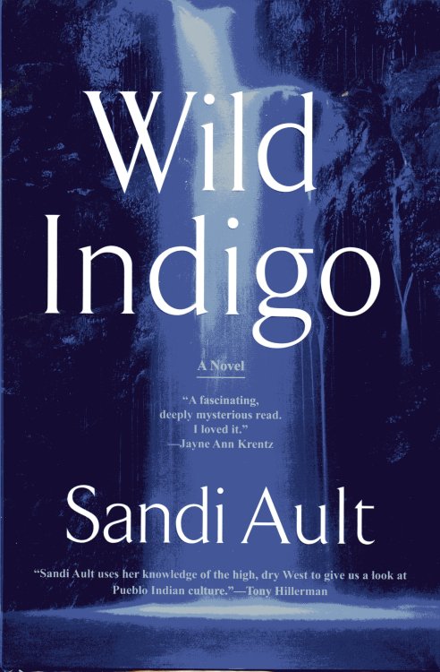 Wild Indigo (a Wild Mystery)