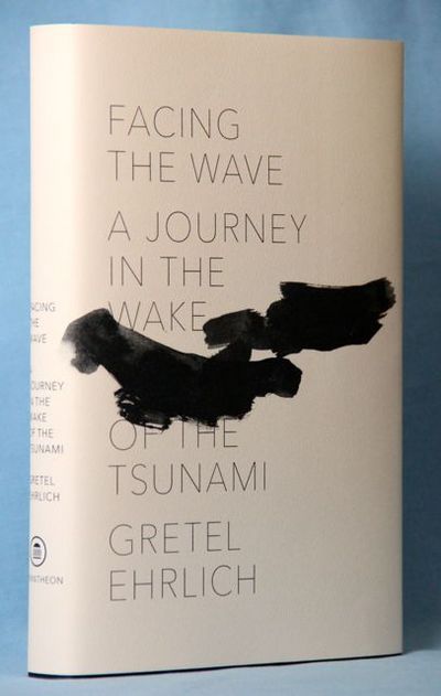 Facing the Wave: A Journey in the Wake of the Tsunami