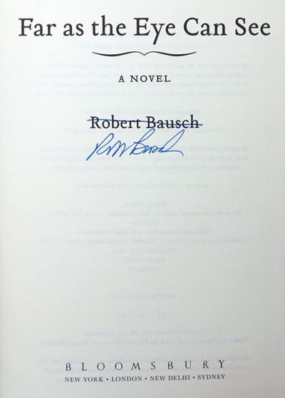 Far as the Eye Can See: a Novel
