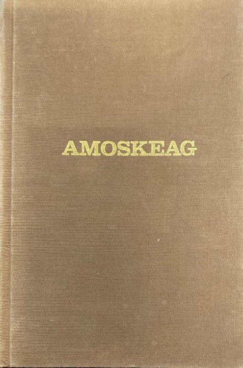 Amoskeag: Life and work in an American factory-city in New England