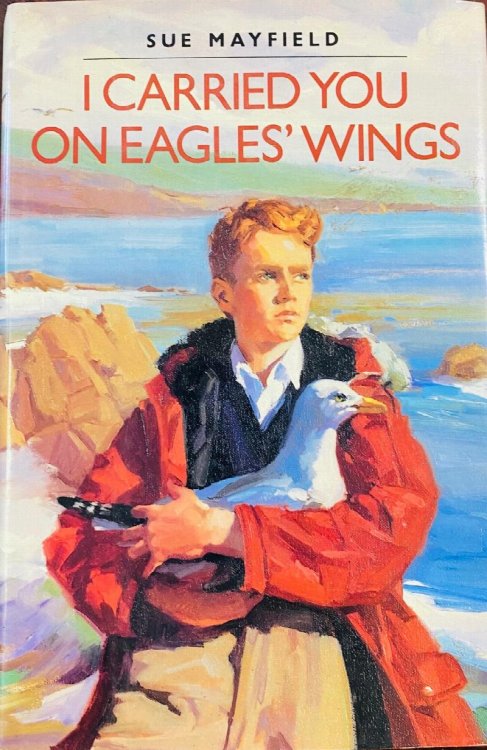 I Carried You on Eagles' Wings