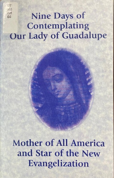 Nine Days of Contemplating Our Lady of Guadalupe