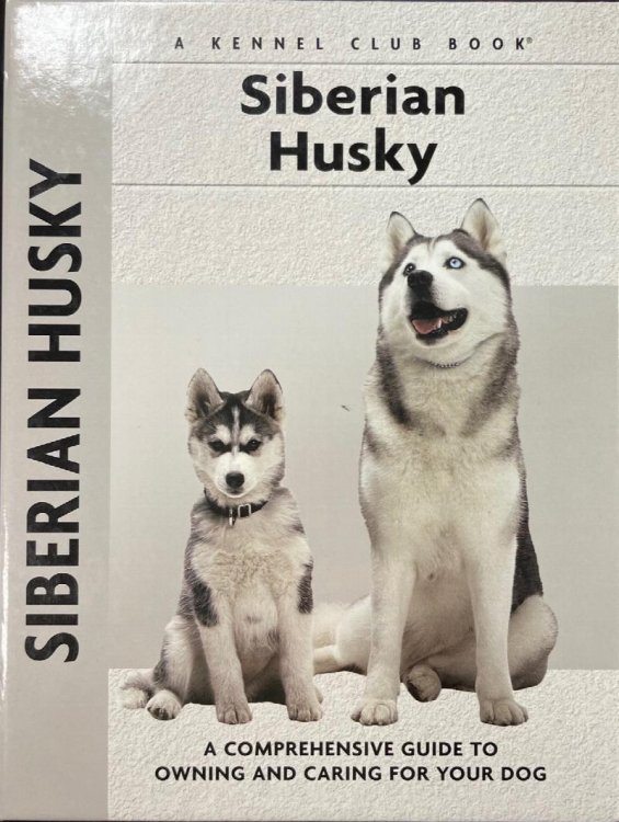 Siberian Husky