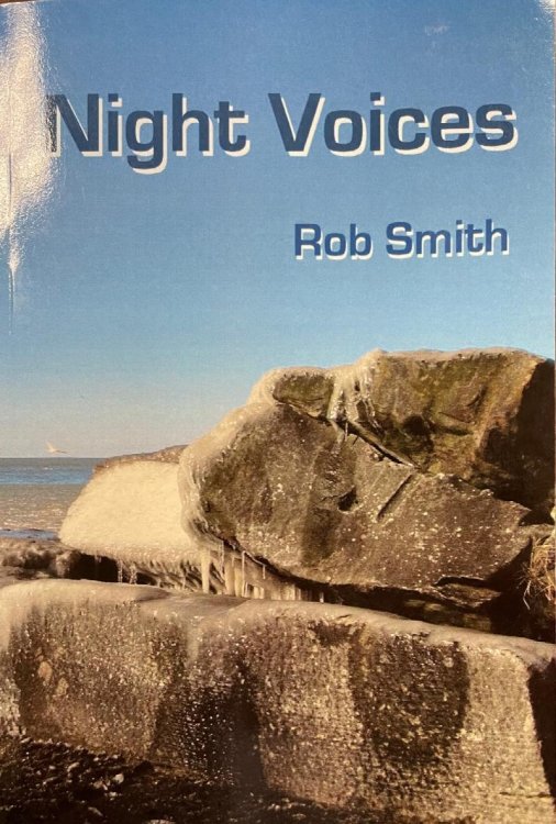 Image for Night Voices Night Voices