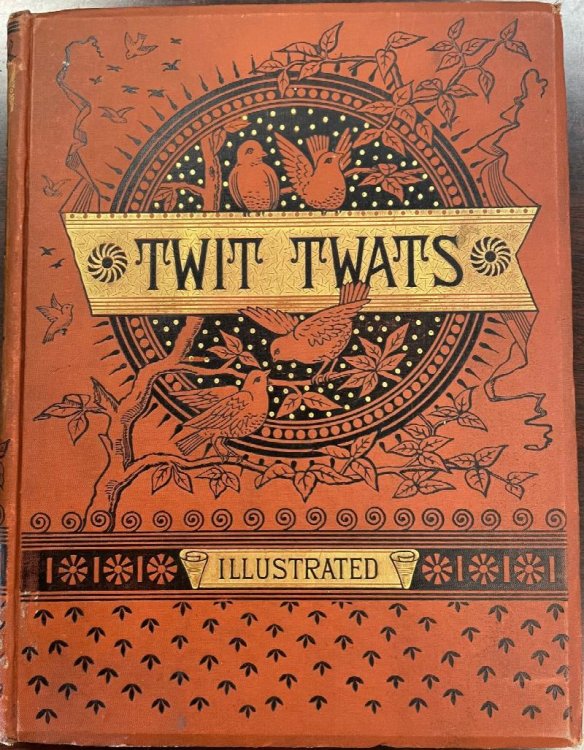 Image for The Twit-Twats: A Christmas Allegorical Story of Birds - connected with the introduction of sparrows into the New World The Twit-Twats: A Christmas Allegorical Story of Birds - connected with the introduction of sparrows into the New World
