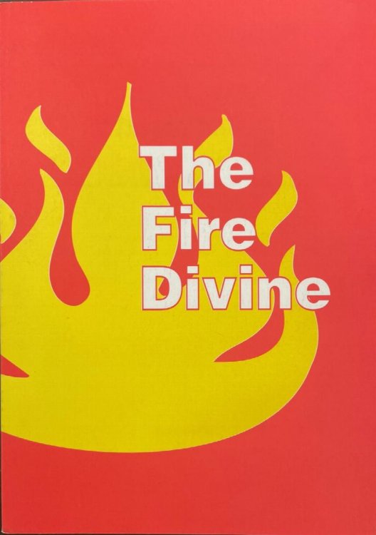 The Fire Divine: Papers Read At the 1996 Westminster Conference (Puritan and Westminster Conference Papers)