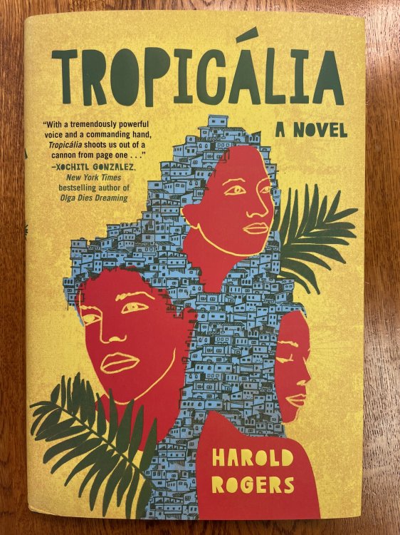 Tropicalia: A Novel