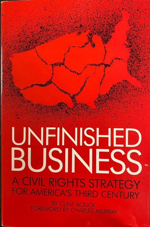 Unfinished Business: A Civil Rights Strategy for America's Third Century