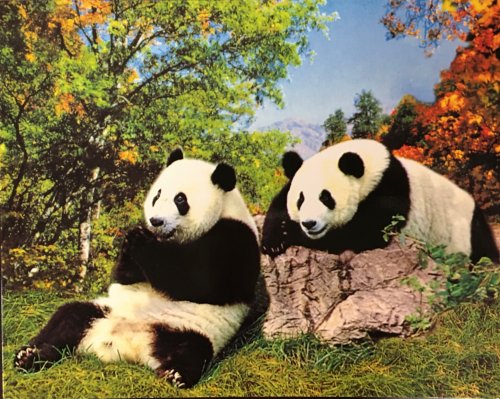 Beijing China: Tourism Souvenir