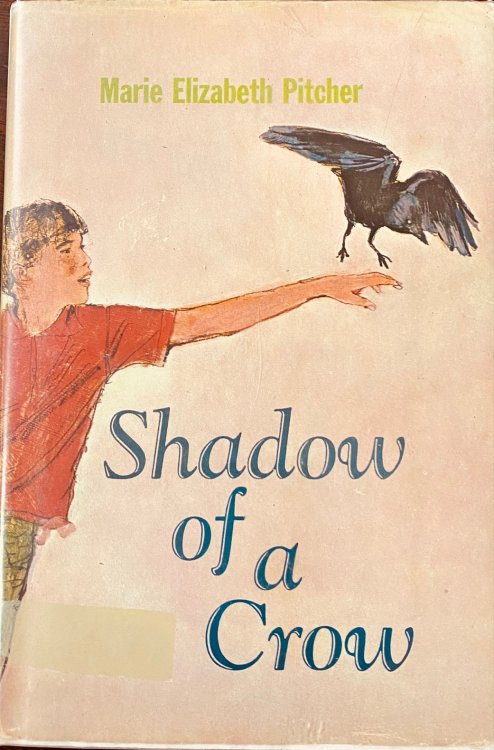 Shadow of a Crow