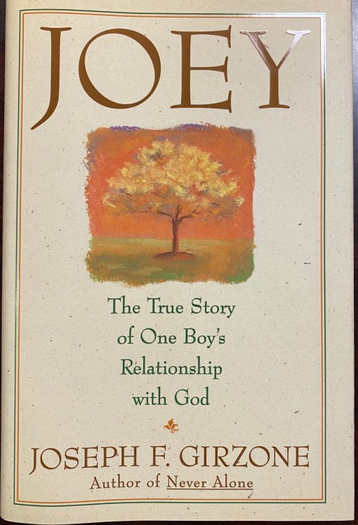 Joey: The True Story of One Boy's Relationship With God